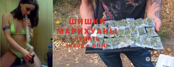 дживик Анжеро-Судженск