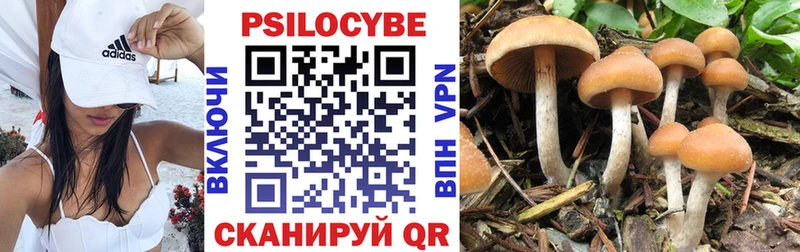 купить   Балабаново  Псилоцибиновые грибы прущие грибы 