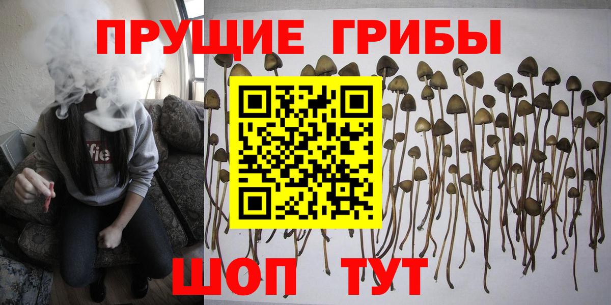 Галлюциногенные грибы мицелий  Балабаново 